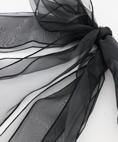 スペースキャットBAG　　242-1401