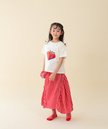 PRISM T　 [251-1507-1]
