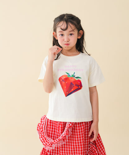 PRISM T　 [251-1507-1]