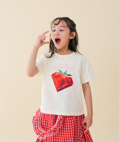 PRISM T　 [251-1507-1]